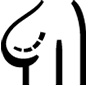 Breast Reconstruction (For Patients)